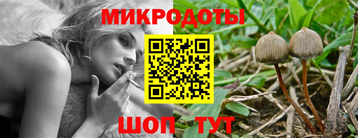 Вязьма  Псилоцибиновые грибы GOLDEN TEACHER  Вход с VPN 