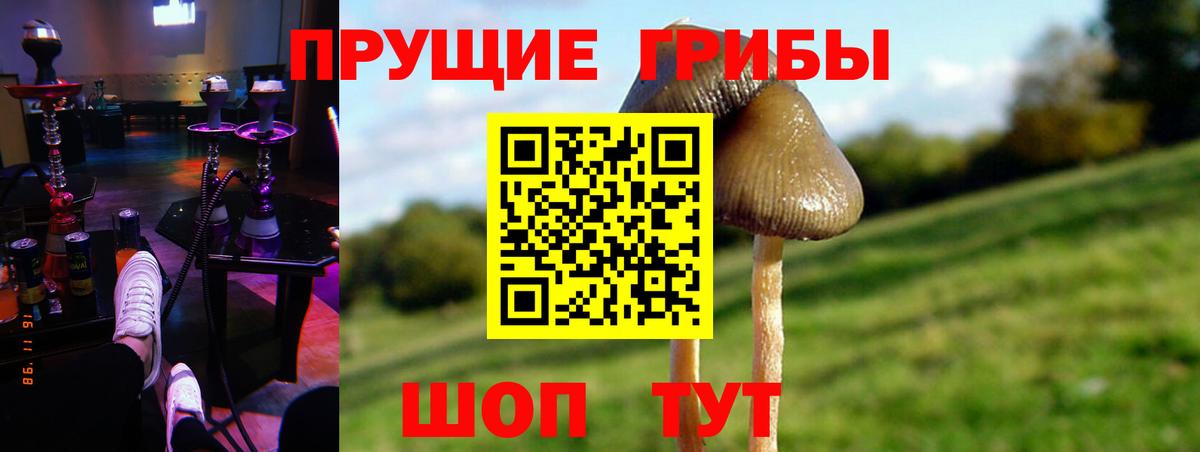 Псилоцибиновые грибы ЛСД Вязьма